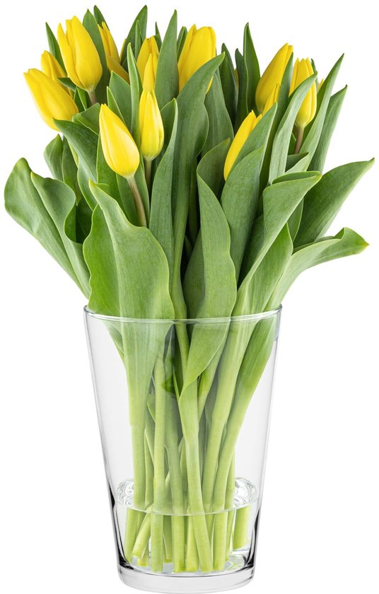 Omgoods - Transparante Tulpenvaas voor Bloemstukken
