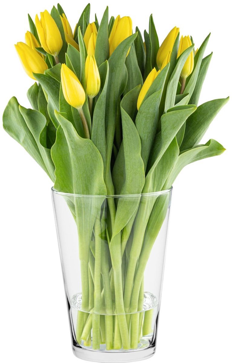 Omgoods - Transparante Tulpenvaas voor Bloemstukken
