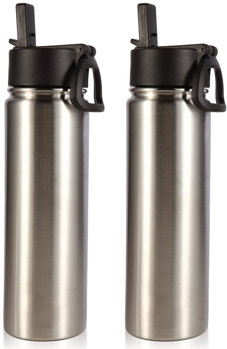 Omgoods - Isolerende Waterfles met Rietje - 2 Pack Roestvrijstalen Sportflessen 660ml