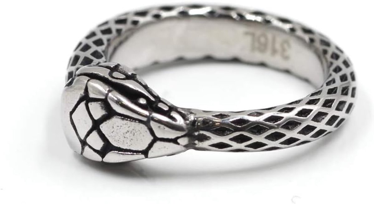 Ring voor Vrouwen Mannen Unisex Vintage Stijl Snake Gothic Punk Infinity Snake Sieraden 316L Chirurgisch Staal