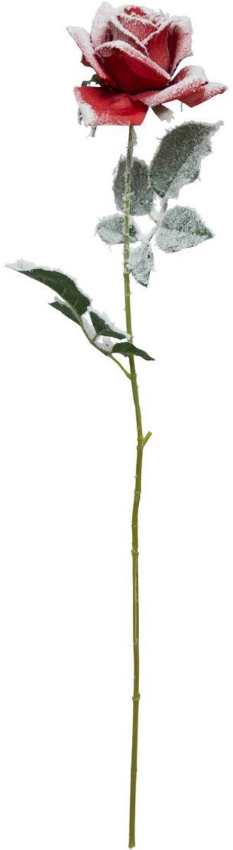 Branche rose rouge enneigée H62