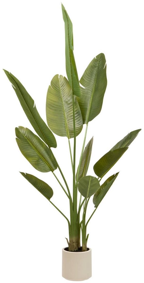 Kunstbananenboom met 3 stammen, H 200 cm, LORA