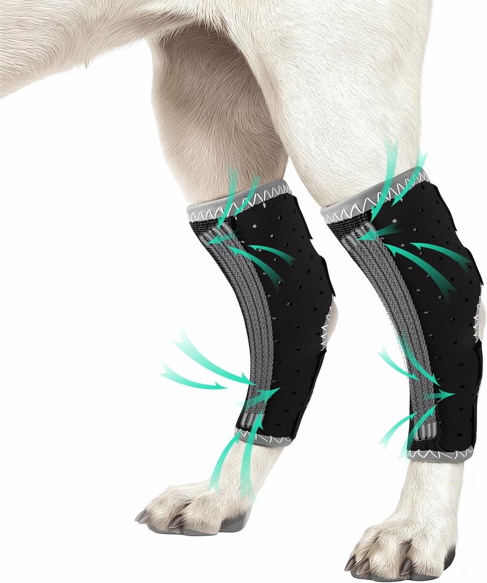 Hondenbandage voor Achterpoot met 3 Metalen Rails, Bescherming tegen Lekken, Wonden en Verstuikingen, Genezing XL