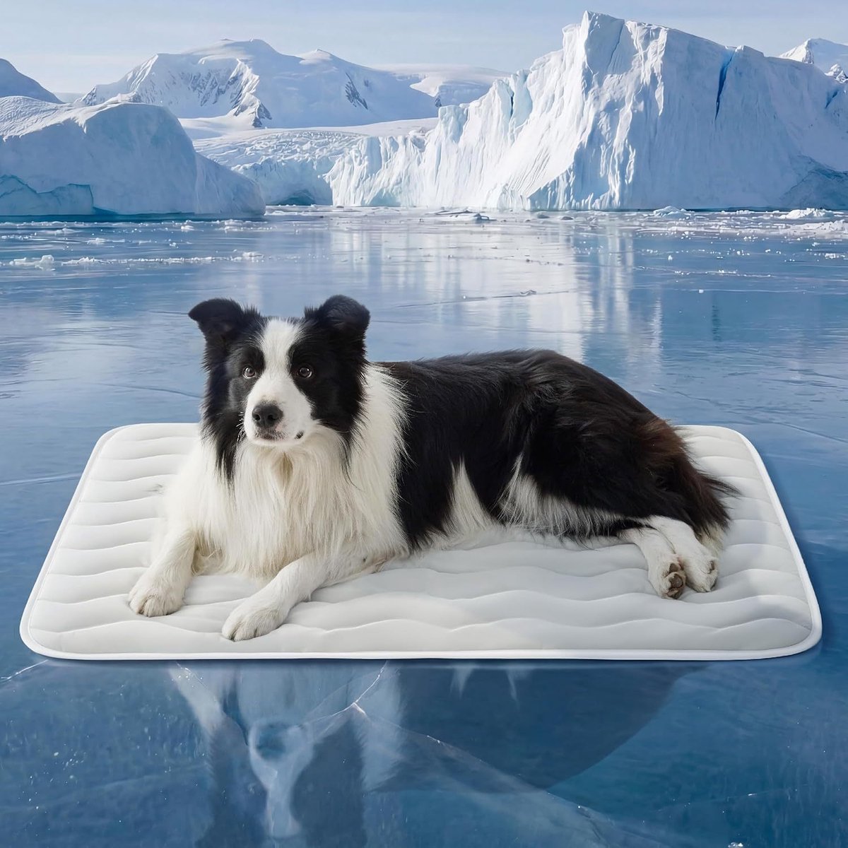 Koelmat voor Grote Honden - Q-Max>0,4 Dun Ademend Kratkussen voor Huisdieren met Koelvezel - Draagbaar Wasbaar Zomer Mat - 89 x 58 cm - Grijs