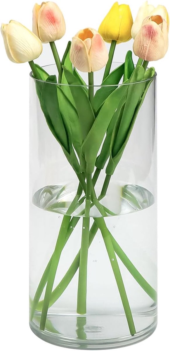 SnelShoppen - Acrylic Cylinder Vaasje 25 cm Hoog - Extra Large Bloemenvaas van Dikke Plastic - Perfect voor Tafelstukken, Woonkamer, Keuken, Kantoor,