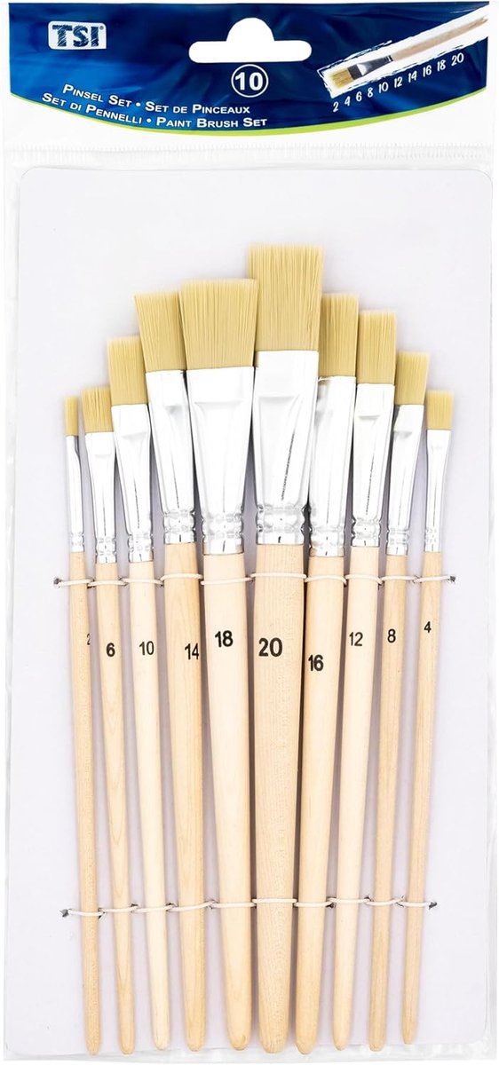 SnelShoppen - Professionele Borstelset 10 Stuks - Hoogwaardige Haren, Natuurlijke Stelen, Maten 2-20 - Ideaal voor School, Hobby en Beroep