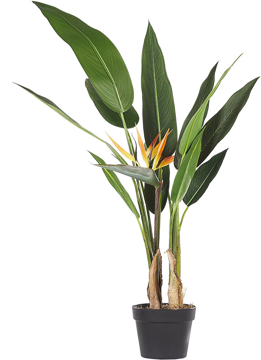 Beliani STRELITZIA TREE - Kunstplant - Groen - Synthetisch materiaal