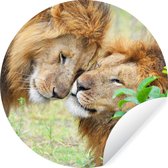 WallCircle - Stickers muraux - Cercle Papier Peint - Lion - Câlin - Savane - 100x100 cm - Cercle Mural - Auto Adhésif - Sticker Papier Peint Rond XXL