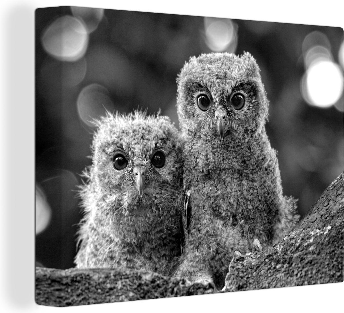 Canvas Schilderij Twee baby uilen zitten op een tak - zwart wit - 80x60 cm - Wanddecoratie