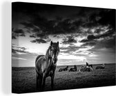 Canvas Schilderij Liggende IJslandse paarden in het gras - zwart wit - 30x20 cm - Wanddecoratie