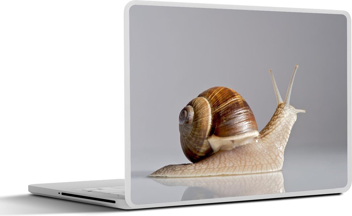 Afbeelding van product SleevesAndCases  Laptop sticker - 14 inch - Slak met grijze achtergrond