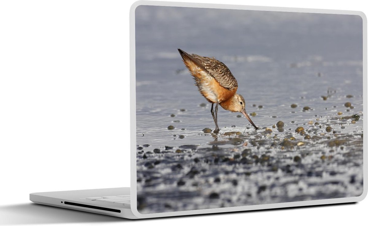 Afbeelding van product SleevesAndCases  Laptop sticker - 15.6 inch - Rosse grutto zoekt eten op het strand