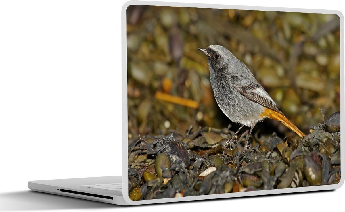 Afbeelding van product SleevesAndCases  Laptop sticker - 14 inch - Een mannelijke zwarte roodstaart tussen de bladeren