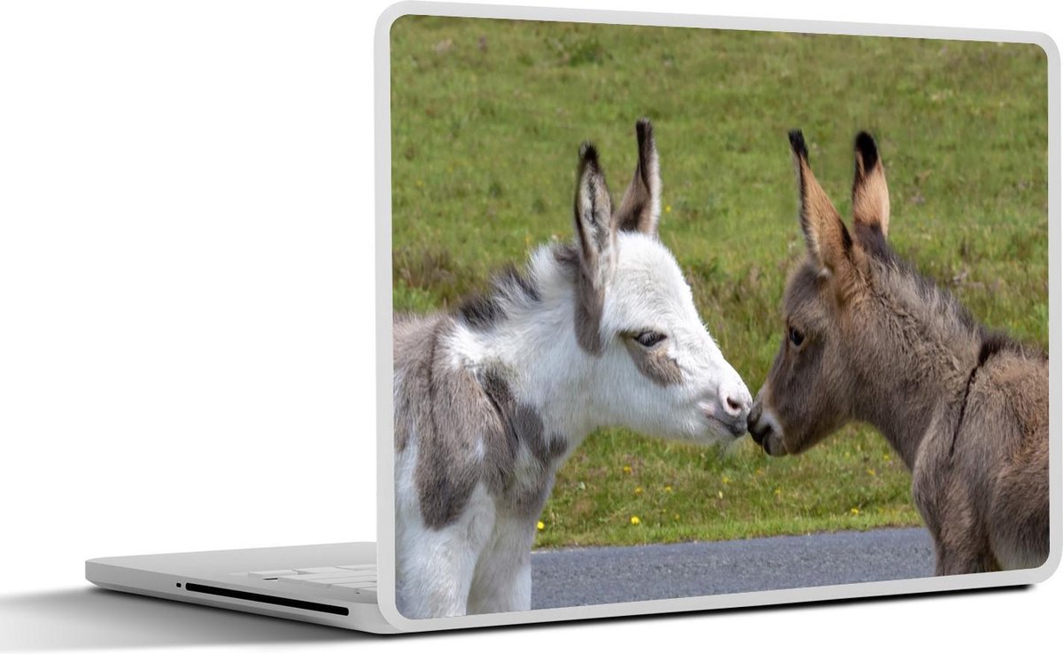 Afbeelding van product SleevesAndCases  Laptop sticker - 15.6 inch - Twee jonge ezels kussen elkaar