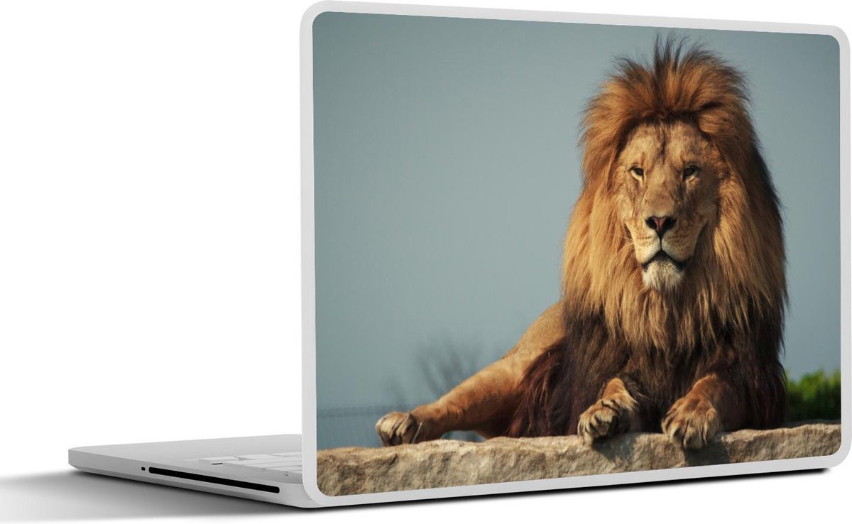 Laptop sticker - 11.6 inch - Leeuw - Rotsen - Jacht - 30x21cm - Laptopstickers - Laptop skin - Cover