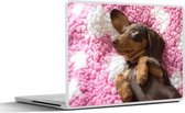 Laptop sticker - 14 inch - Een Teckel puppy op een roze deken - 32x5x23x5cm - Laptopstickers - Laptop skin - Cover