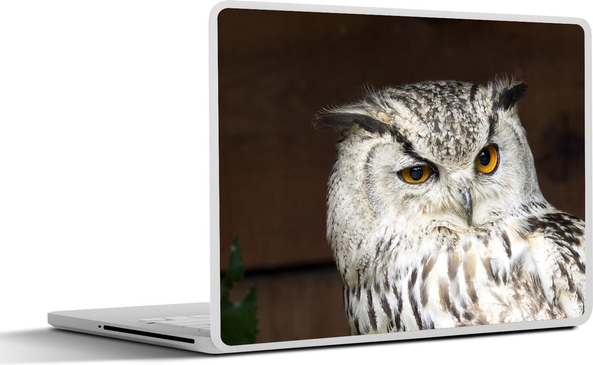 Laptop sticker - 13.3 inch - Bruine uil geeft een knipoog - 31x22,5cm - Laptopstickers - Laptop skin - Cover