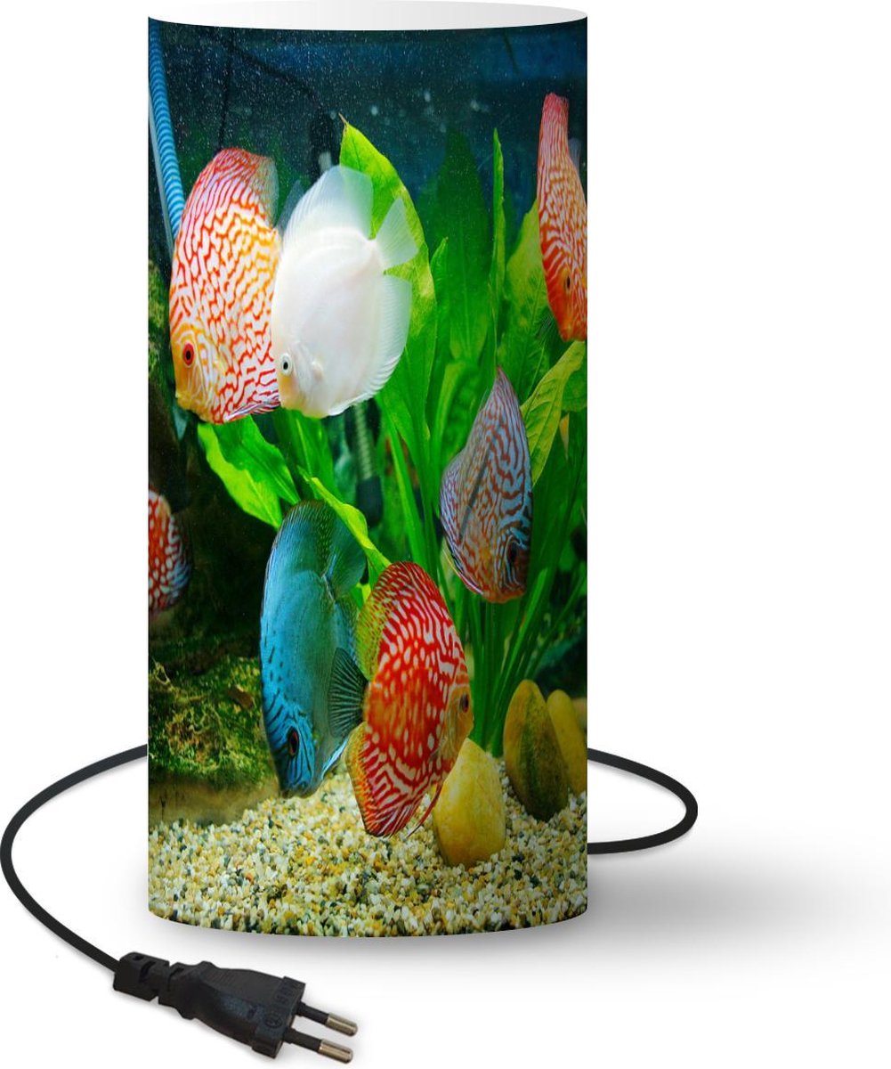 Lamp - Nachtlampje - Tafellamp slaapkamer - Vissen in een aquarium - 33 cm hoog - Ø15.9 cm - Inclusief LED lamp