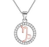 Tracelet - Zilveren Kettingen | Ketting Horoscoop Steenbok | Sterrenbeeld Rosé en Zilver | 925 Sterling Zilver - 925 Keurmerk stempel - 925 Zilver Certificaat | Valentijn tip