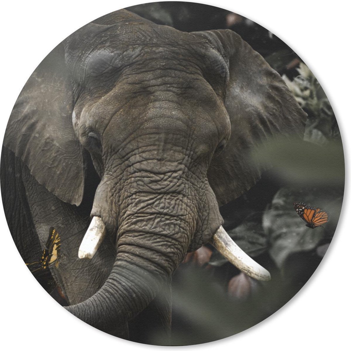 Muismat rond 50x50 cm - Mousepad Dieren - Olifant - Vlinders - Ronde muismatten