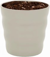 WL Plants - Bloempot Voor Binnen - Grijze Keramieke Bloempot - Luxe Bloempotten voor Binnen - Bloempotten voor Buiten - Bloembak & Plantenpot - Hoogte 12,5 cm - Keramisch met Hoogw