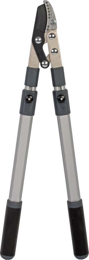 Talen Tools Takkenschaar