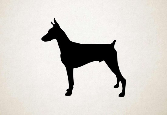 Silhouette hond - Doberman - L - 75x80cm - Zwart - wanddecoratie