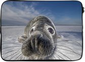 Laptophoes 13 inch 34x24 cm - Zeedieren - Macbook & Laptop sleeve Grijze zeehond in de sneeuw - Laptop hoes met foto