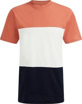 WE Fashion Heren T-shirt met colourblock