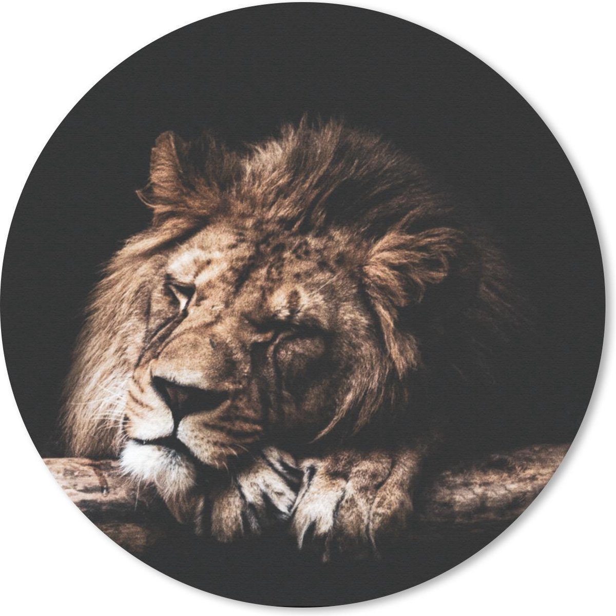 Muismat rond 20x20 cm - Mousepad Leeuw - Boom - Slapen - Ronde muismatten