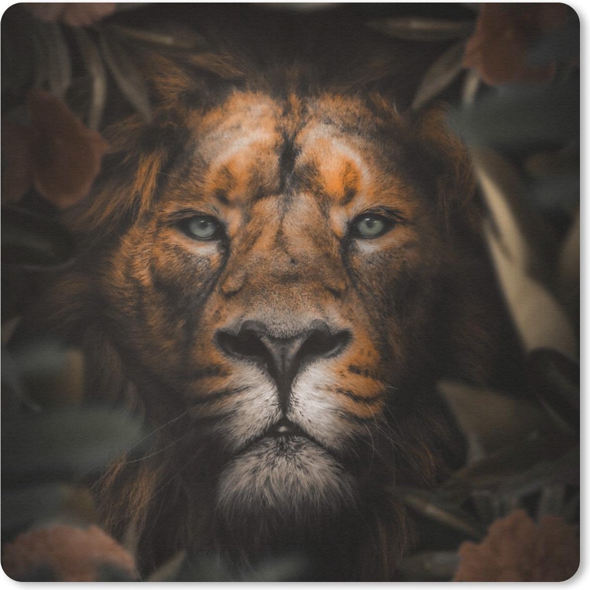 Muismat 20x20 cm - Mousepad Dieren - Leeuw - Jungle - Muismatten