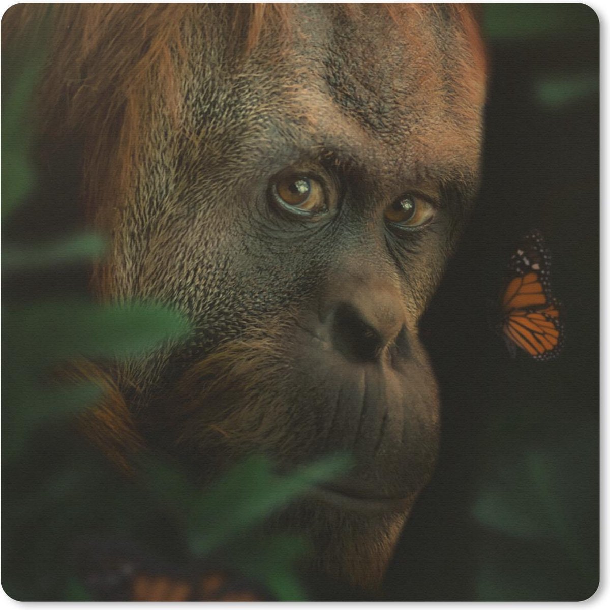 Muismat 30x30 cm - Mousepad Dieren - Aap - Natuur - Muismatten