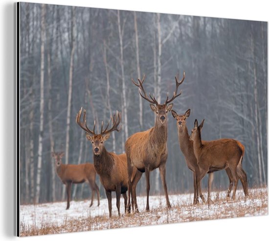 Décoration Cerf Et Arbres En Métal - Présentoir Hiver Noël 30x16cm En Blanc Ou Noir