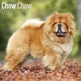 Chow Chow 2022 - 16-Monatskalender