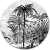Tuincirkel Palm Jungle - WallCatcher | Tuinposter rond 140 cm | Buiten muurcirkel Palmbomen