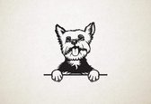 Yorkie - hond met pootjes - M - 60x63cm - Zwart - wanddecoratie