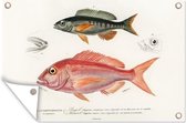 Décoration murale Poisson - Vintage - Peinture - 180x120 cm - Affiche jardin