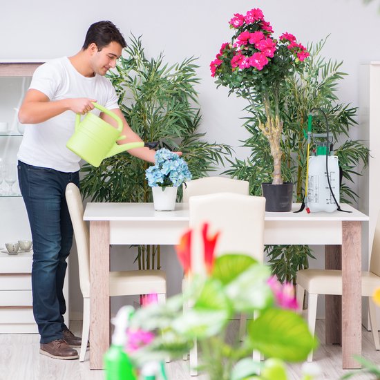 plantenspuit 5 liter - met slang en lans - 3 bar - onkruid druksproeier van Merkloos	 — afbeelding 2