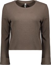 Jacqueline de Yong Trui Jdyeskild L/s Wide Sleeve Top Jrs 15234604 Falcon Dames Maat - S