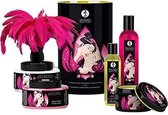 Touch of Romance Grote Plezierset Shunga (3 pcs)