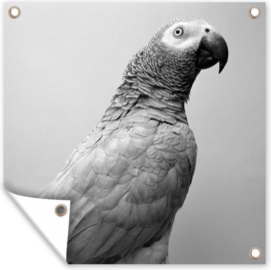 Tuindoek Portretfoto van grijze roodstaart - zwart wit - 100x100 cm