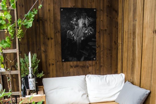 Posters de jardin Tigre et papillons dans la jungle - noir et blanc - 60x90 cm - Toile jardin