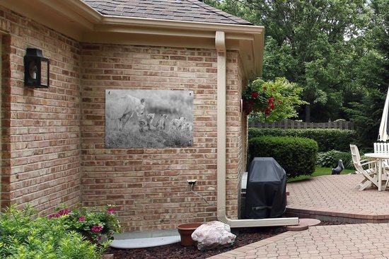 Posters de jardin extérieur Lionne avec son garçon - noir et blanc - 90x60 cm - Toile de jardin - Affiche extérieure