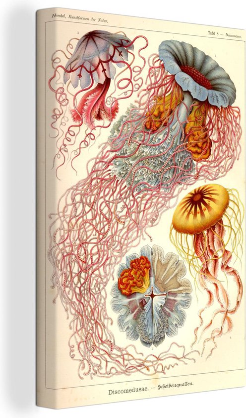 Tableau sur toile Méduse - Vintage - 90x140 cm - Décoration murale