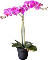 Kunstplant Orchidee / Phalaenopsis 2-tak roze H53cm - HTT Decorations