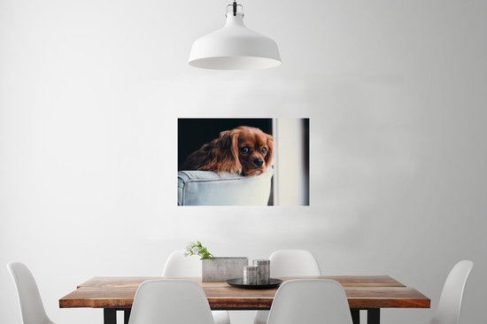 Poster Chien - Chaise - Tête - 90x60 cm