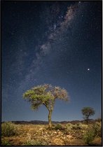 Poster van een boom met mooie galaxy achtergrond - 50x70 cm