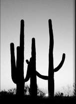 Walljar - Saguara Cactus - Zwart wit poster