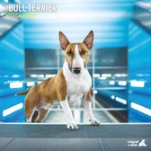 Bull Terrier - Kalender 2022