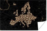 Poster Kaart - Europa - Panterprint - 30x20 cm